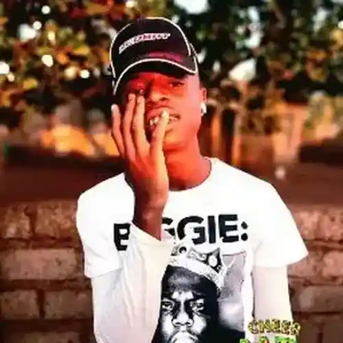 Picture for song 'BEAUTIFUL GIRL 203' by artist 'Crezzy Tee'