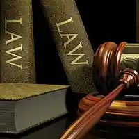 Picture for song 'LAWS' by artist 'DA-pionneerr'