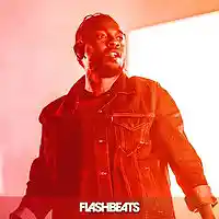 Picture for song 'Paramedic' by artist 'FlashBeats.net'