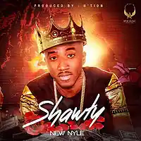 Picture for song 'NEW NYLE - SHAWTY (PROD BY OTION)' by artist 'New Nyle'