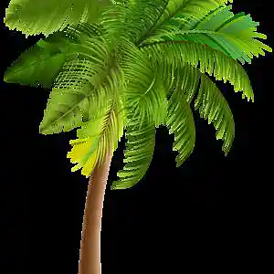 Picture for song 'Palms' by artist 'Alvo Lorem'