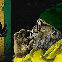 Picture for song 'Rasta Maan! Banger !!!' by artist 'BoogDonDolla'