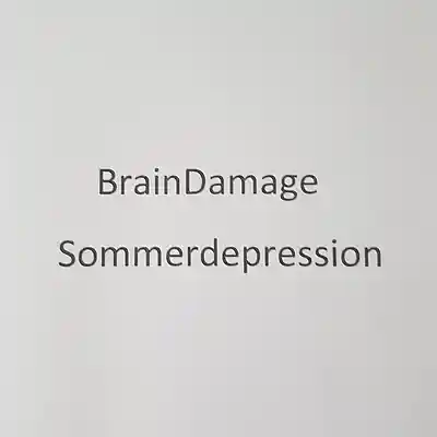 Picture for song 'BrainDamage - Sommerdepression' by artist 'BrainDamage(Germany)'