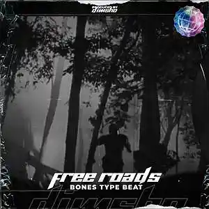 Picture for song 'Free Roads' by artist 'Dimsho Beats'
