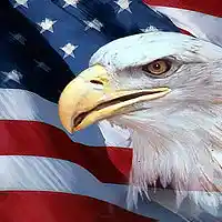 Picture for song 'FREEDOM REIGNS' by artist 'Distorted Youth'