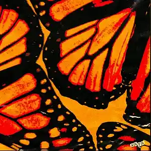 Picture for song 'Butterfly' by artist 'Fonty'
