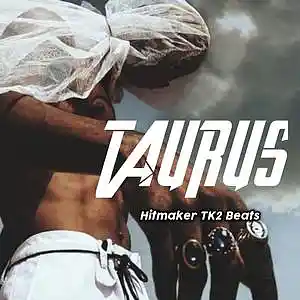 Picture for song 'TAURUS' by artist 'Hitmaker Tk2'