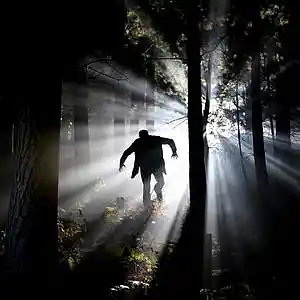 Picture for song 'Paranoia' by artist 'Jinty'