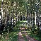 Picture for song 'September Song' by artist 'Kelton Ree'