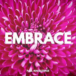 Picture for song 'Embrace' by artist 'MAKESZENSE'