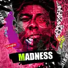Picture for song 'Madness (FREE DL)' by artist 'RoBeatz.com'