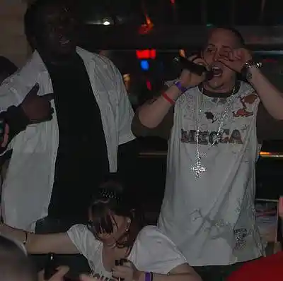 Picture for song 'Stylee - Flip N Fold' by artist 'SKE3M'