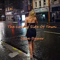 Picture for song 'The Lonely Side Of Town' by artist 'Steve Domer'
