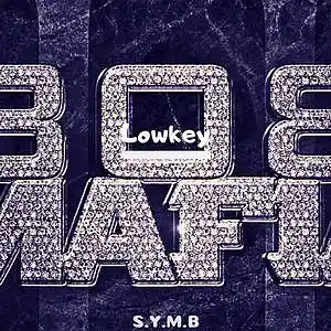 Picture for song 'Free Lowkey (Buy 1 Get 2 Free)' by artist 'S.Y.M.B'