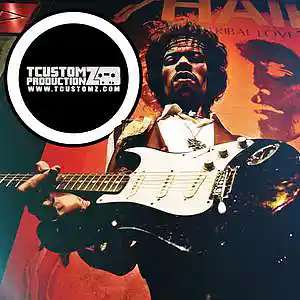 Picture for song 'Writing on the Wall (Rock Lead Guitar Sample Beat)' by artist 'TCustomz Productionz'