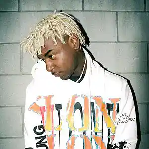 Picture for song 'Turbozooted [prod. @yung_hawkim]' by artist 'Yung Hawkim'