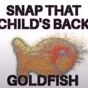 Song picture