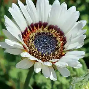 Picture for song 'Feel You All Around Me' by artist 'Beth Jetton'