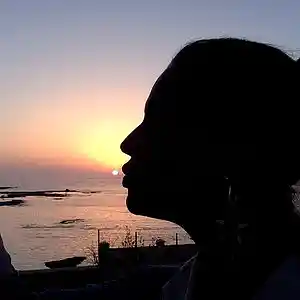 Picture for song 'Corinne maury yo come el sol en cadiz' by artist 'CORINNE MAURY'