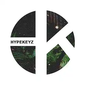 Picture for song 'Overseas' by artist 'hypekeyz'