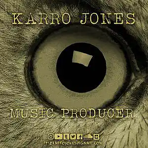 Picture for song 'OWL'S EYE' by artist 'KARRO JONES'