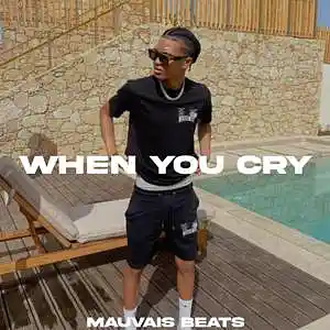 Picture for song 'WHEN YOU CRY' by artist 'MAUVAIS BEATS'