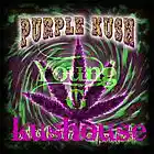 Picture for song 'KUSHOUSE y.g' by artist 'native crown'