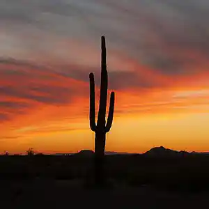 Picture for song 'Arizona Road' by artist 'RCB RECORDING STUDIO'