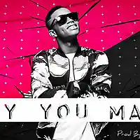 Picture for song '*Why You Mad* New Dance *HIT* (Free DL)' by artist 'Sean Bentley'