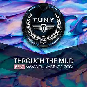 Picture for song 'Through The Mud' by artist 'Tuny Beats'
