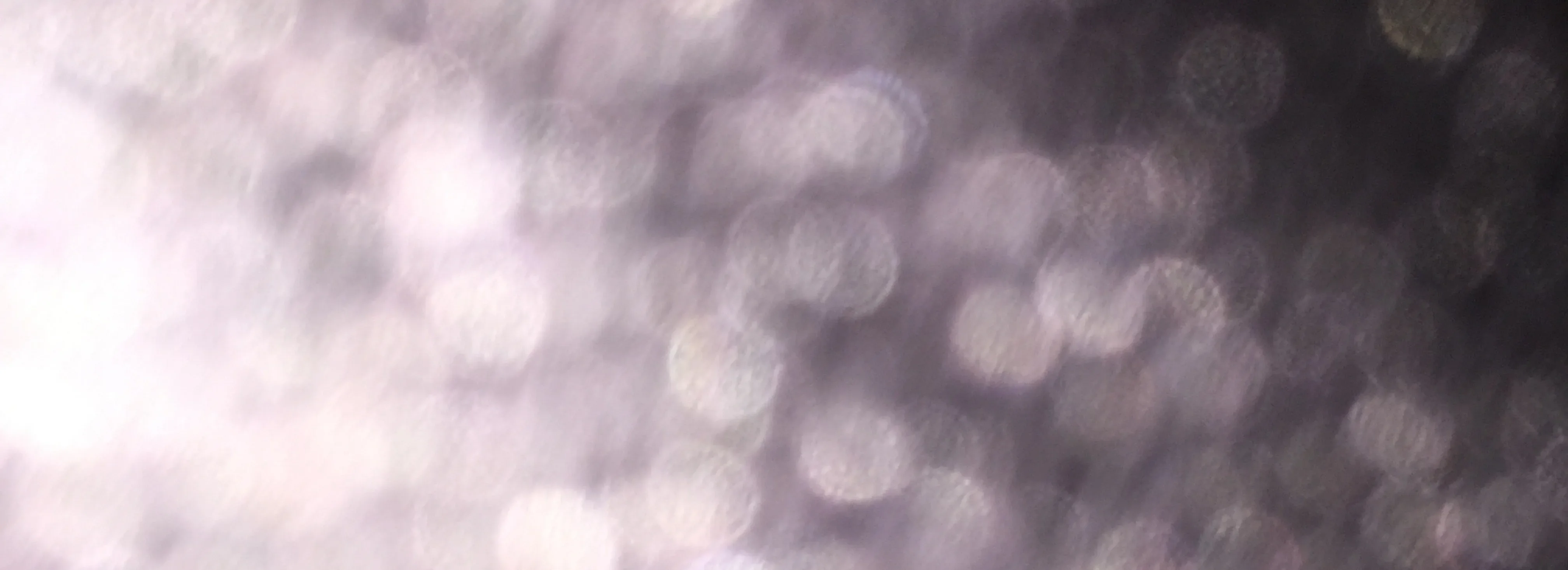 cover pic
