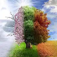 Picture for song '4 Seasons (Apostraphe Productions)' by artist 'Apostraphe Productions'