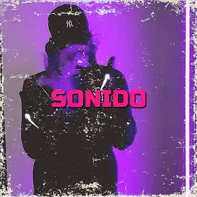 Picture for song 'Cumbia Sonidera Type Beat - Sonido' by artist 'Cachengue Instrumentales'