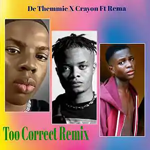 Picture for song 'Too correct Remix crayon ft rema' by artist 'DC Themmie'