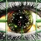 Picture for song 'THE WINDOW // Free DL // **R&B Track**' by artist 'GottaLuvIt'