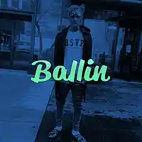 Picture for song 'Ballin' by artist 'Foreign Made It'