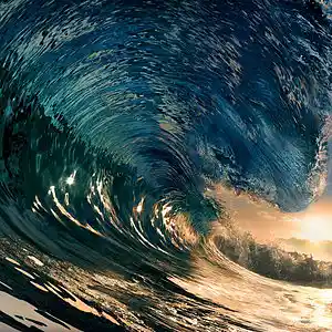 Picture for song 'Wave' by artist 'Shill61'