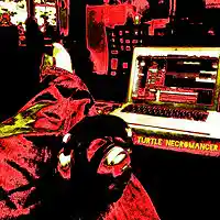 Picture for song 'Corner of WagonWheel' by artist 'Turtle Necromancer'