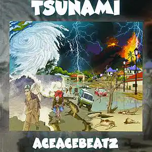 Picture for song 'Tsunami' by artist 'AceAceBeatz'