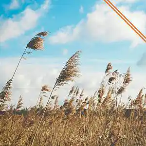 Picture for song 'Breeze' by artist 'AllBeats4u'