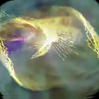 Picture for song '6.emerald aisles' by artist 'BGN'