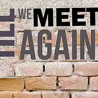 Picture for song 'TILL WE MEET AGAIN' by artist 'DA-pionneerr'