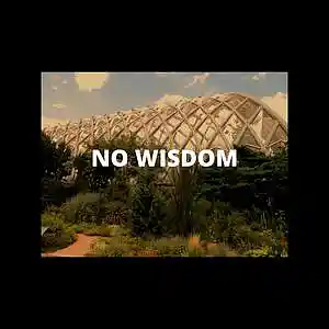 Picture for song 'NO WISDOM -- PREMIUM BUY TWO GET TWO' by artist 'Jack Mono'