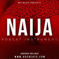 Picture for song 'NAIJA 2 - Afrobeat' by artist 'OGE BEATS'