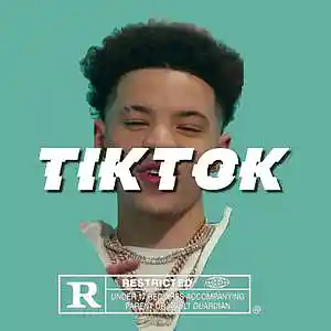 Picture for song 'TIKTOK' by artist 'pandamusic'