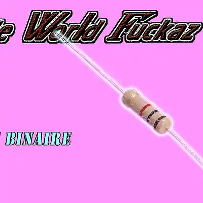 Picture for song 'Systeme binaire' by artist 'Whole World Freakaz'