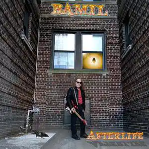 Picture for song 'Afterlife' by artist 'BAMIL'
