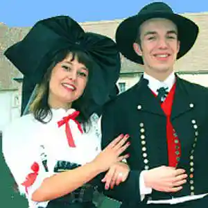 Picture for song 'Der Hans im Schnokeloch' by artist 'Christian Faivre'