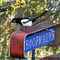 Picture for song ' on a little birdie tail' by artist 'Leonid Minaev'