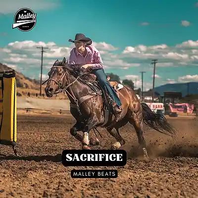 Picture for song 'SACRIFICE [INSPIRING GUITAR COUNTRY BEAT]' by artist 'Malley Beats'